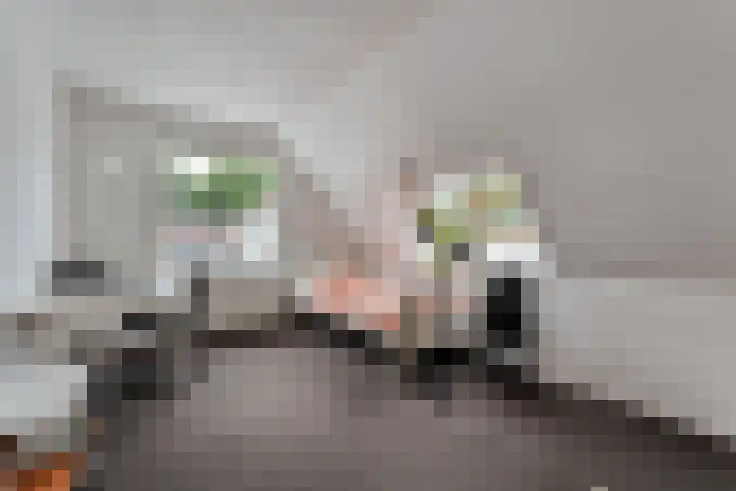 Kruisstraat 2 Dalen thumbnail 59