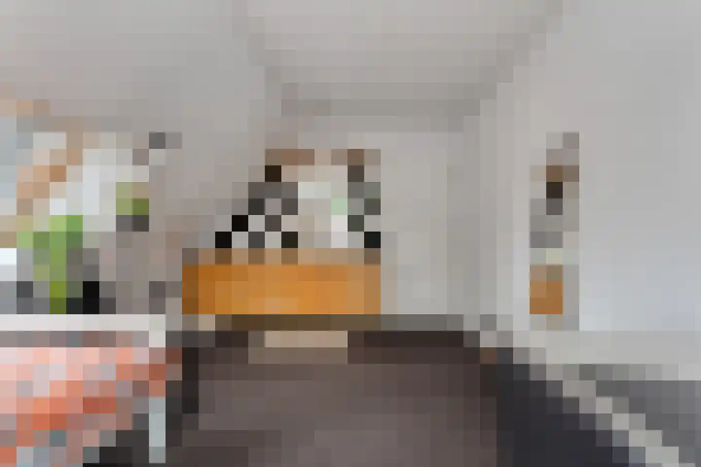 Kruisstraat 2 Dalen thumbnail 60