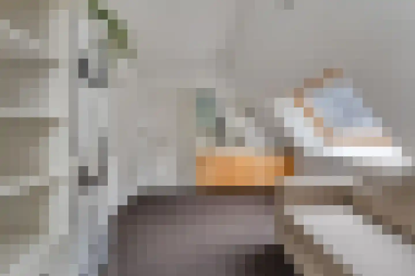 Kruisstraat 2 Dalen thumbnail 62