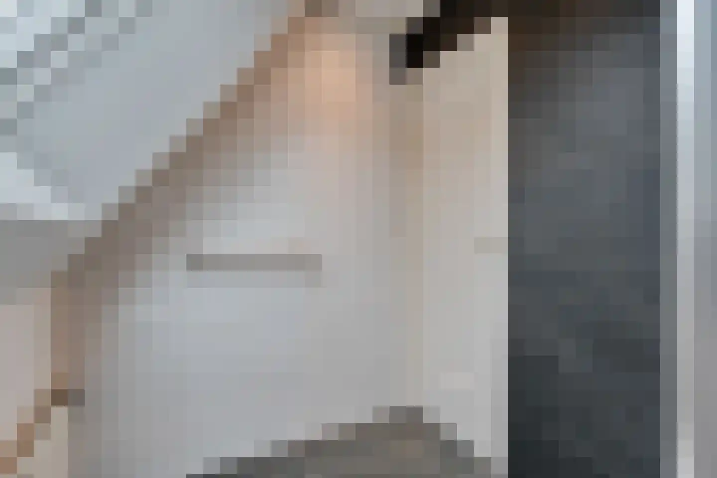 Kruisstraat 2 Dalen thumbnail 67