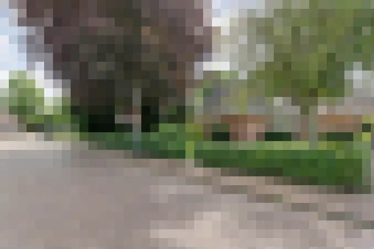 Kruisstraat 2 Dalen thumbnail 7