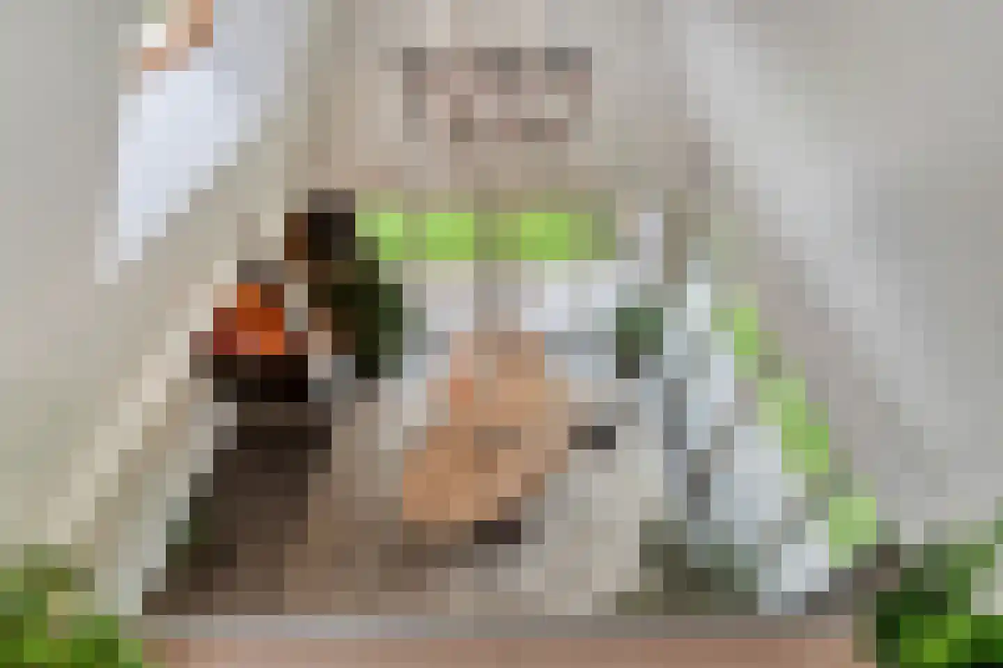 Kruisstraat 2 Dalen thumbnail 73