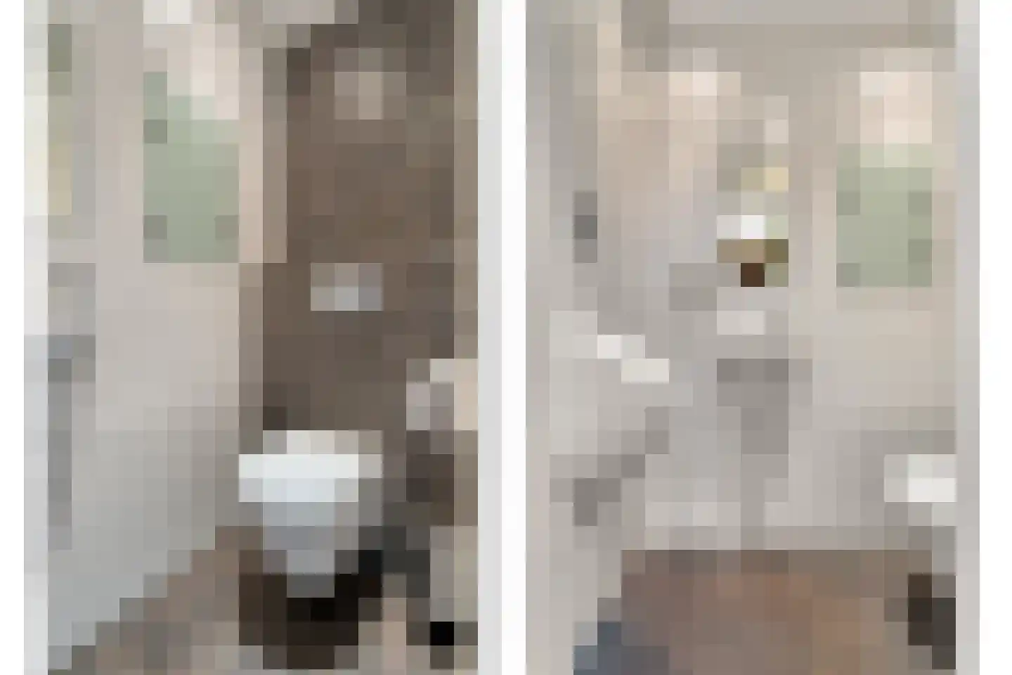 Kruisstraat 2 Dalen thumbnail 74