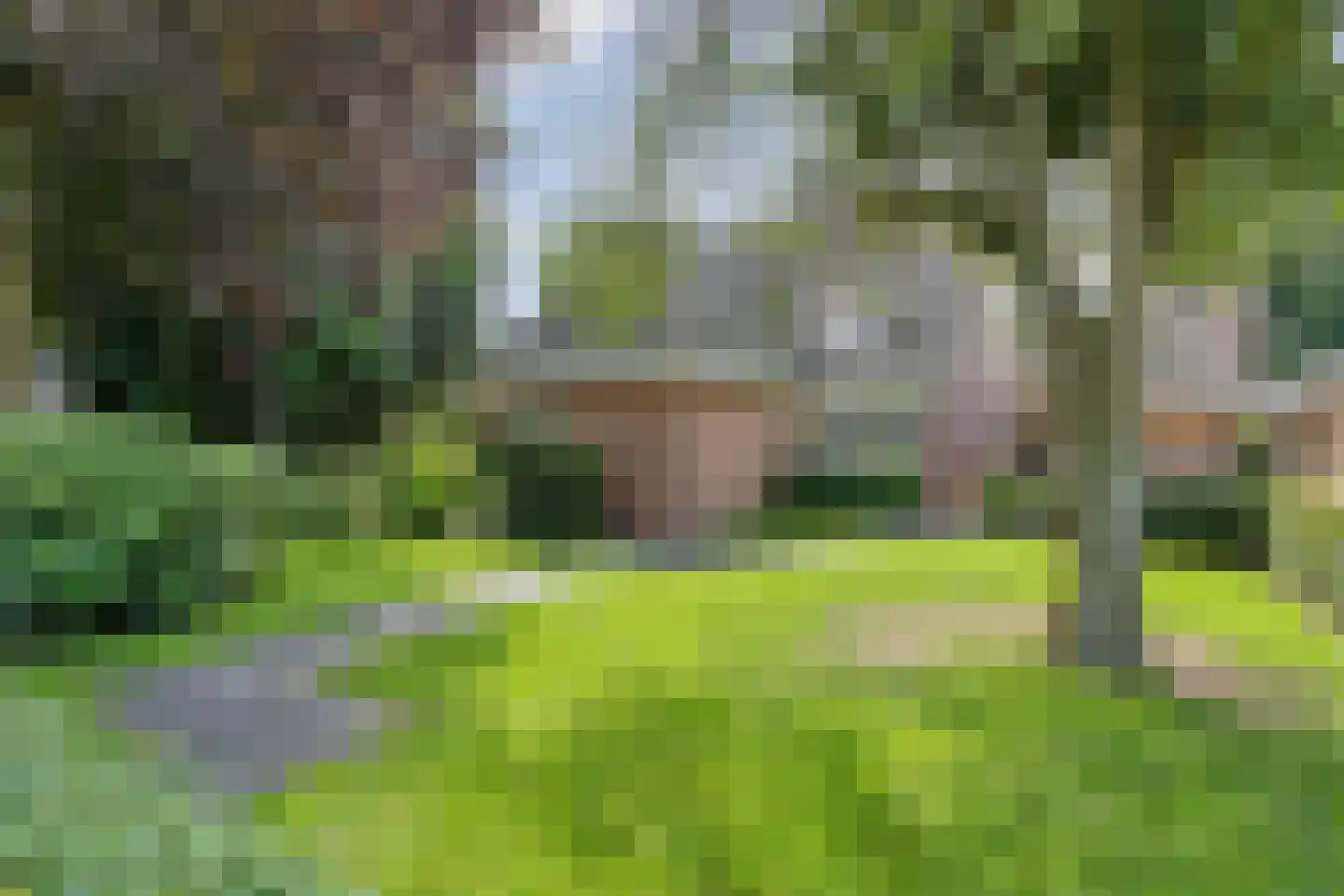 Kruisstraat 2 Dalen thumbnail 8
