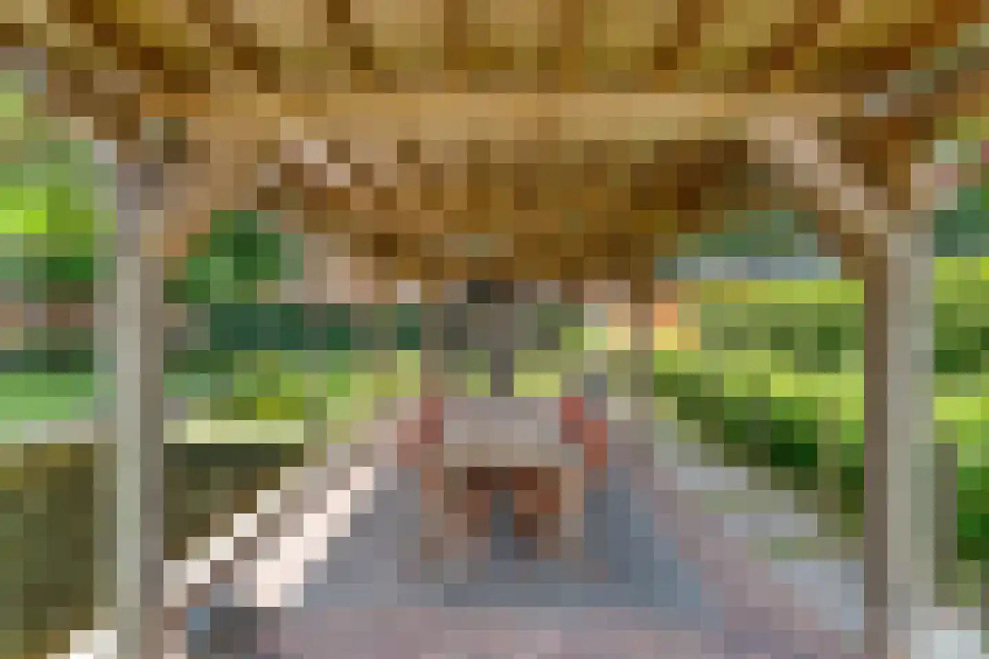 Kruisstraat 2 Dalen thumbnail 86