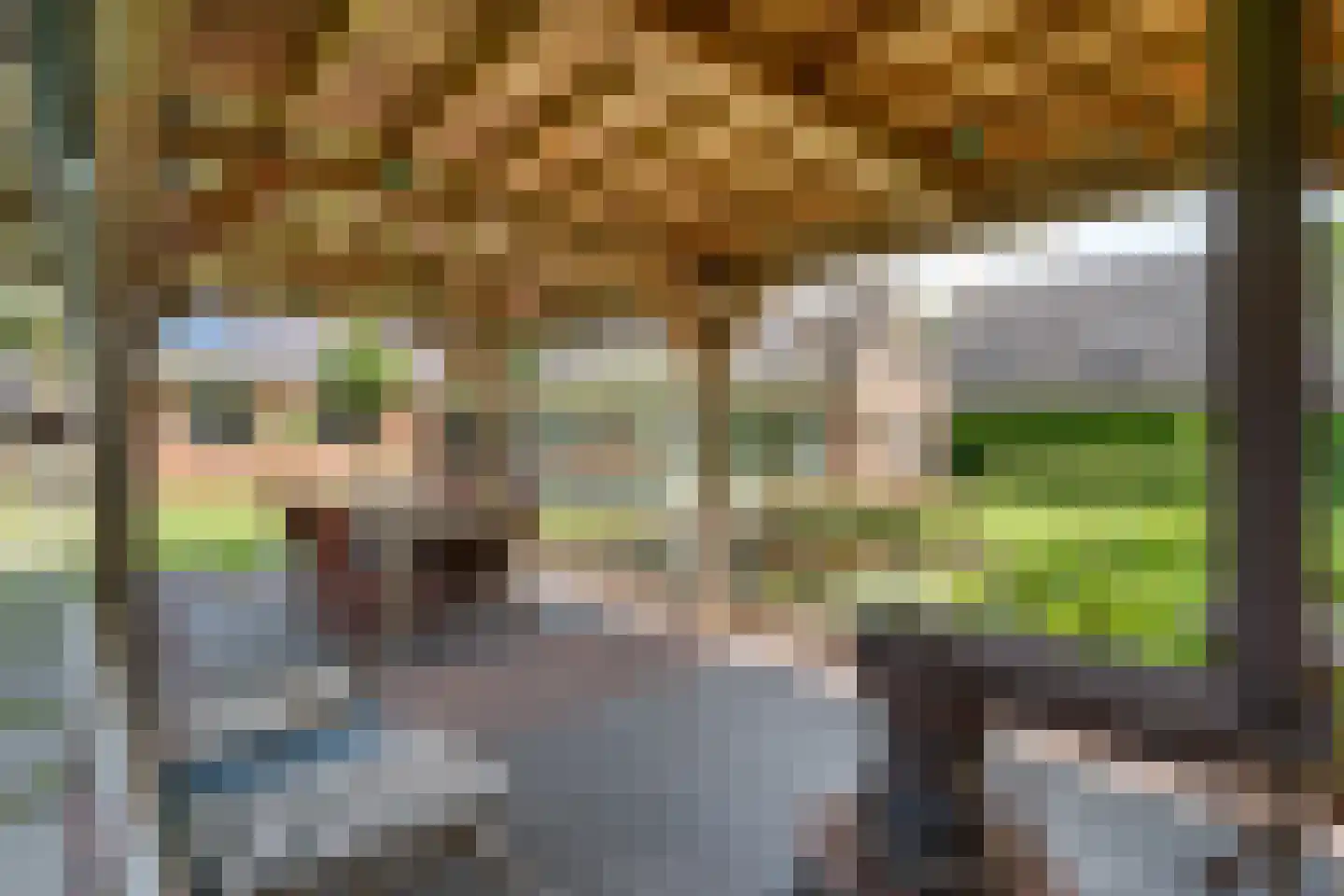 Kruisstraat 2 Dalen thumbnail 87