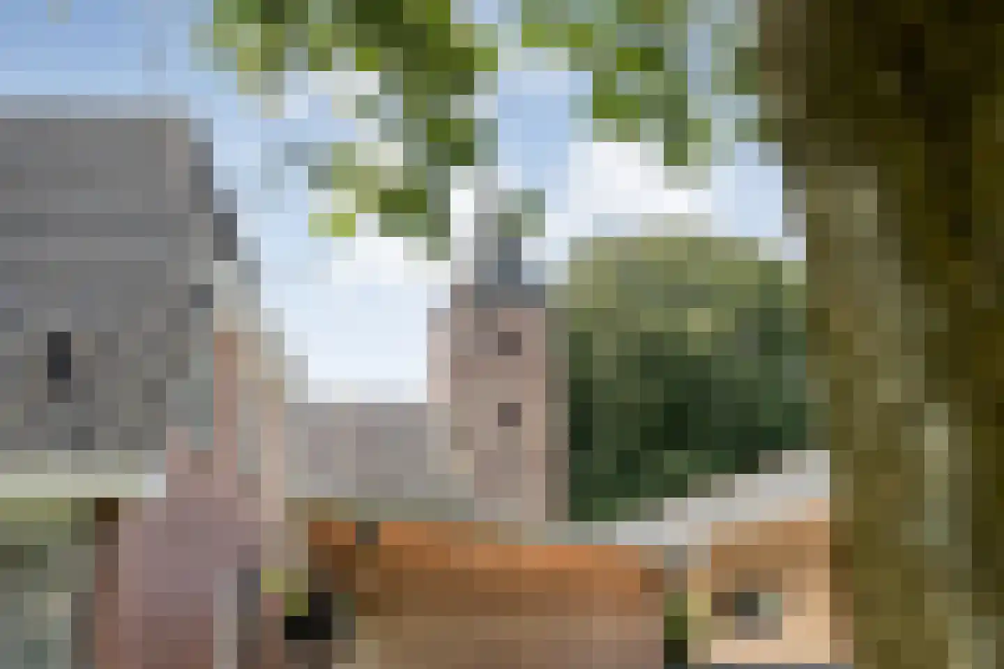 Kruisstraat 2 Dalen thumbnail 9