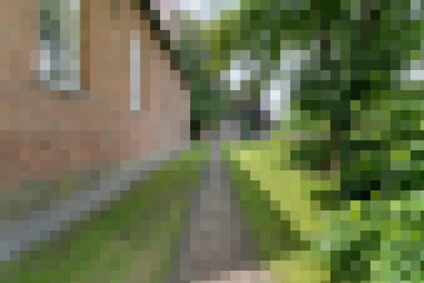 Kruisstraat 2 Dalen thumbnail 93