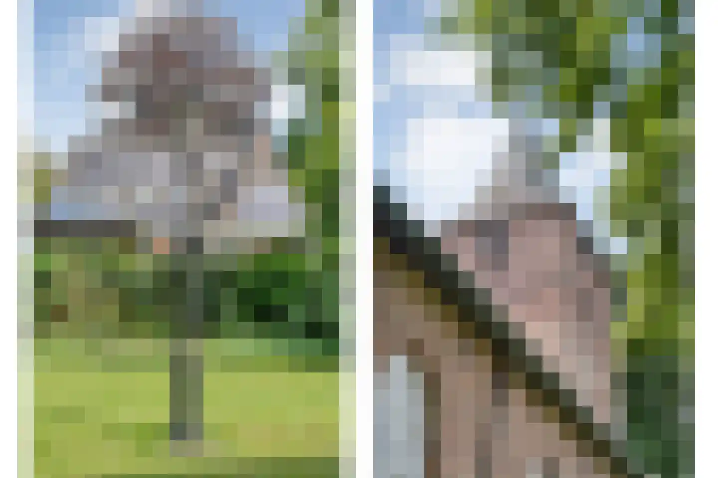 Kruisstraat 2 Dalen thumbnail 94