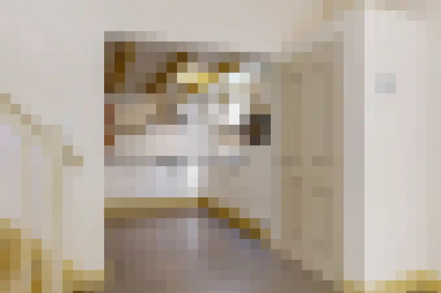 Kruisstraat 2 Hoorn thumbnail 13