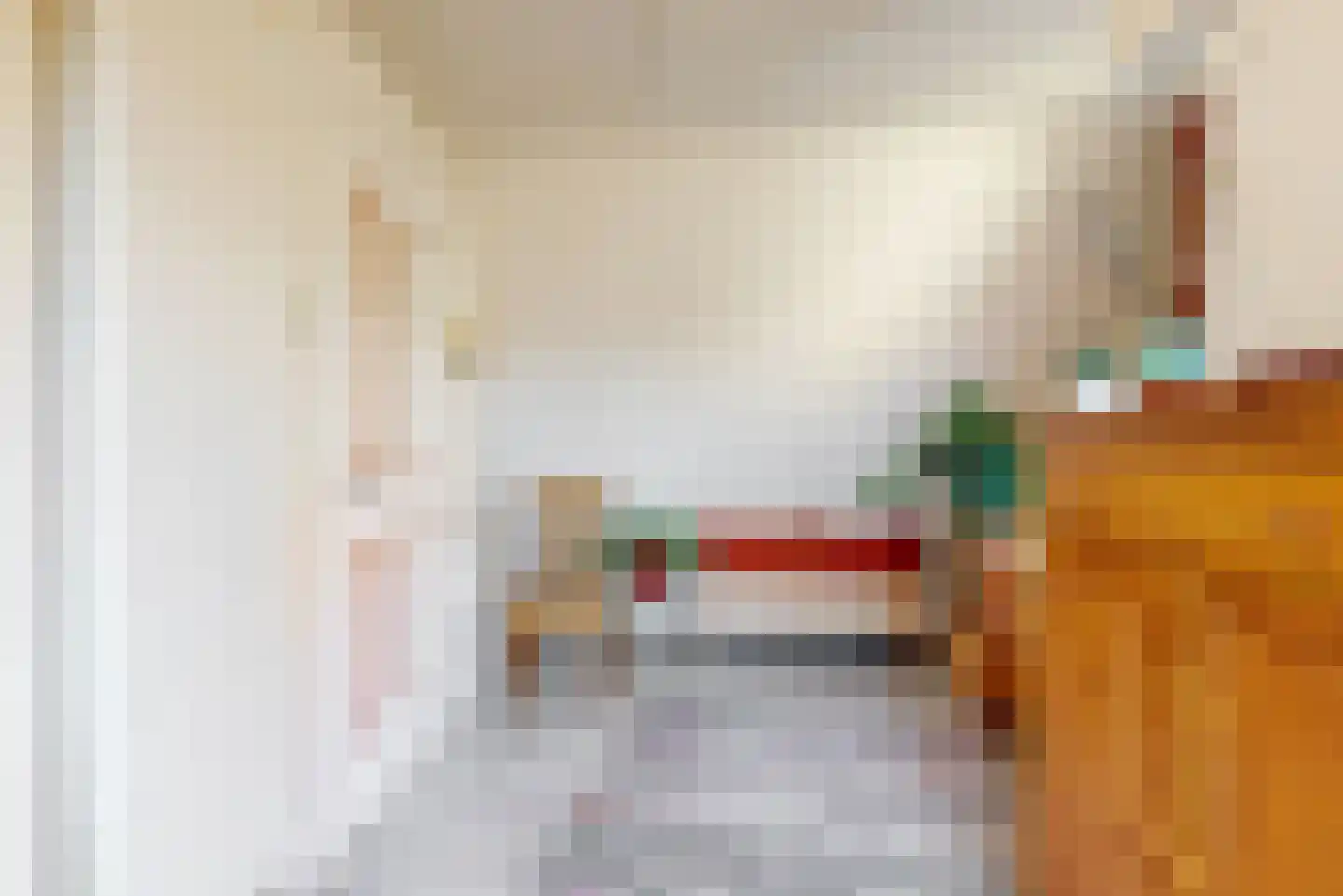 Kruisstraat 2 Hoorn thumbnail 24