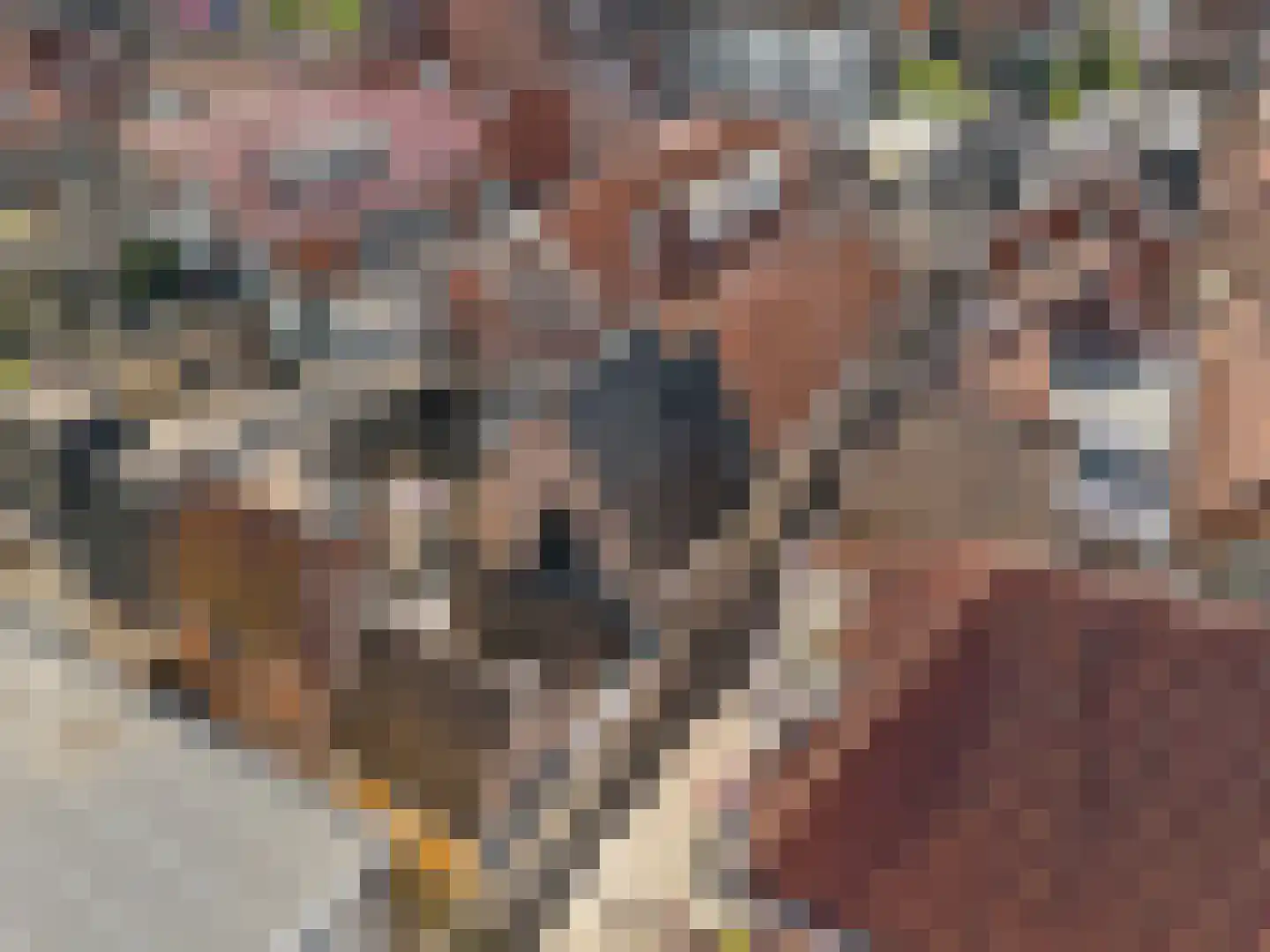 Kruisstraat 2 Hoorn thumbnail 5