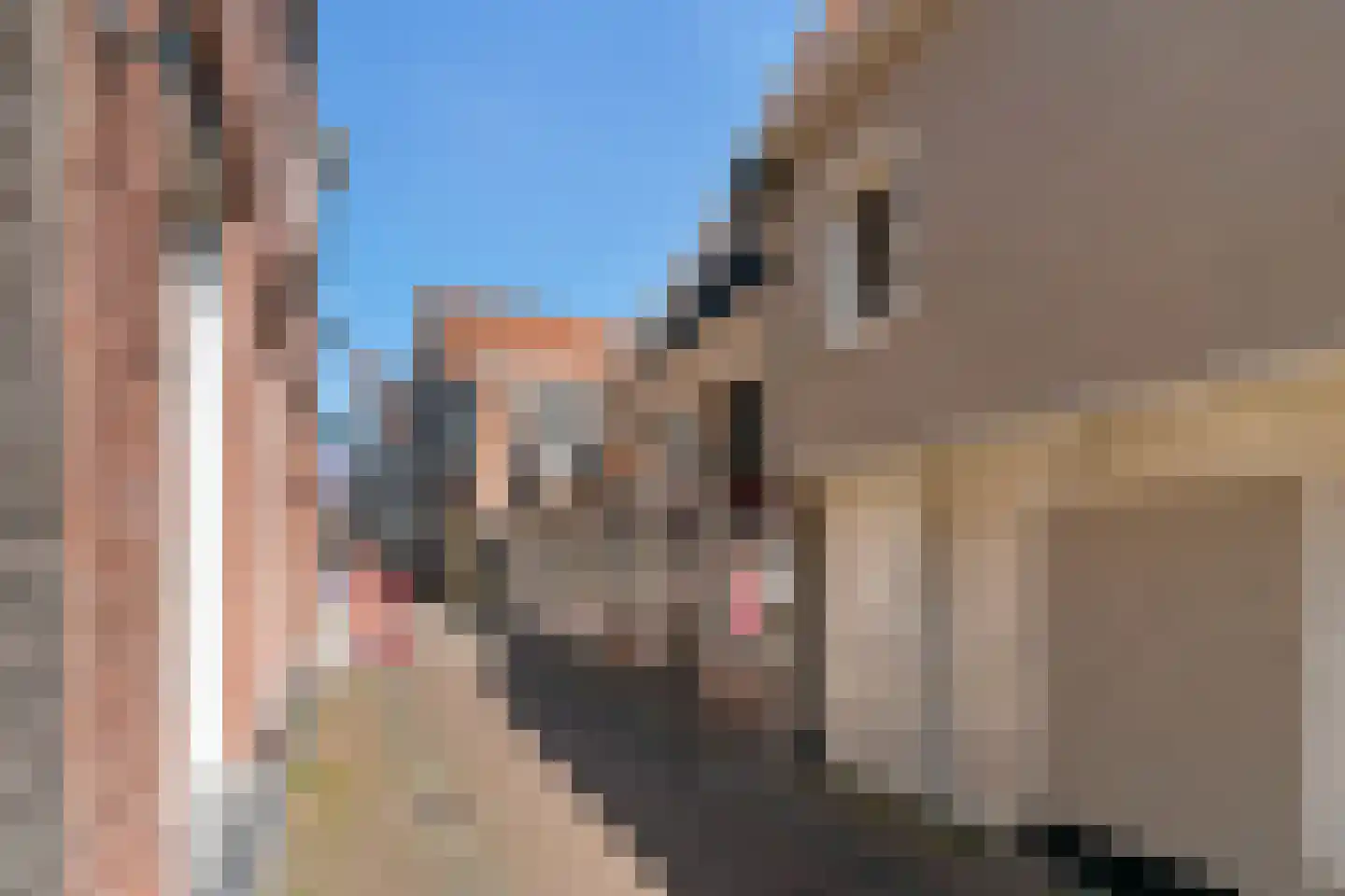 Kruisstraat 2 Hoorn thumbnail 9