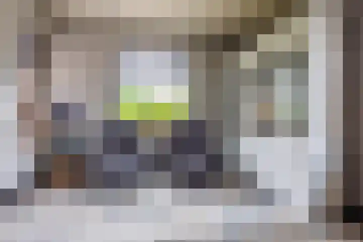 Kruisstraat 2 Wellerlooi thumbnail 13