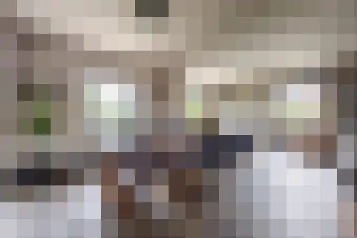Kruisstraat 2 Wellerlooi thumbnail 15