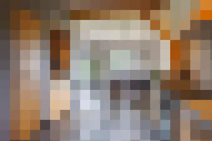 Kruisstraat 2 Wellerlooi thumbnail 21