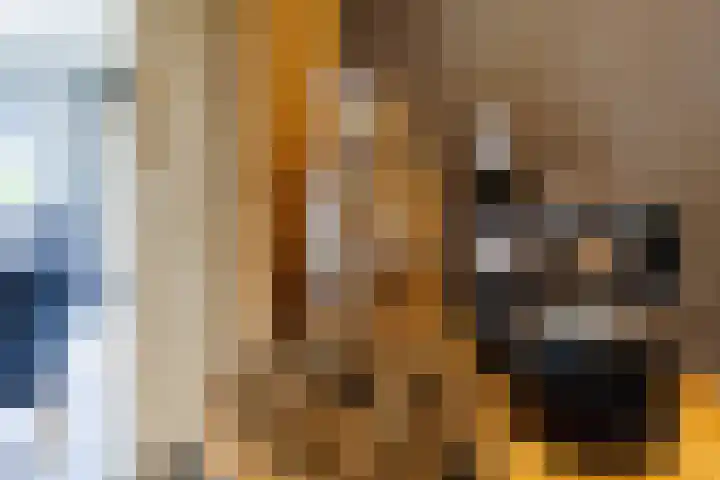 Kruisstraat 2 Wellerlooi thumbnail 23