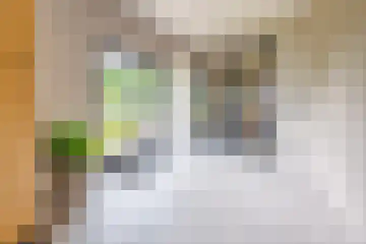 Kruisstraat 2 Wellerlooi thumbnail 26