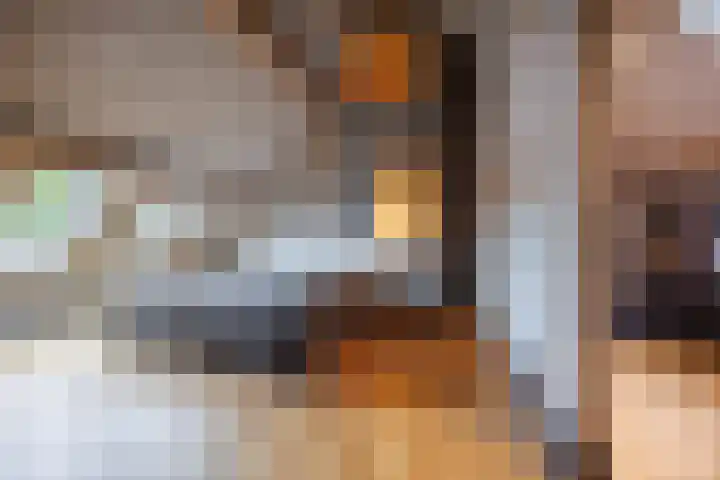 Kruisstraat 2 Wellerlooi thumbnail 31