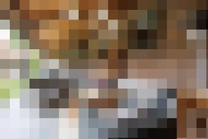 Kruisstraat 2 Wellerlooi thumbnail 46