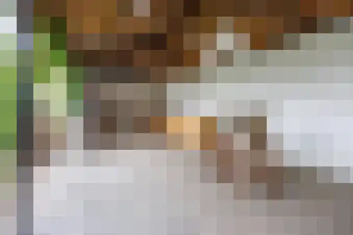 Kruisstraat 2 Wellerlooi thumbnail 51
