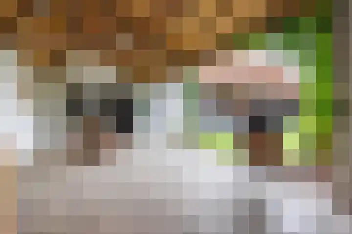 Kruisstraat 2 Wellerlooi thumbnail 52