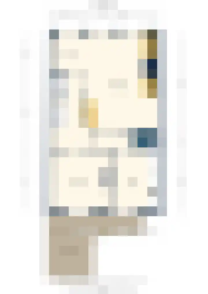 Kruisstraat 20 's-Hertogenbosch thumbnail 54