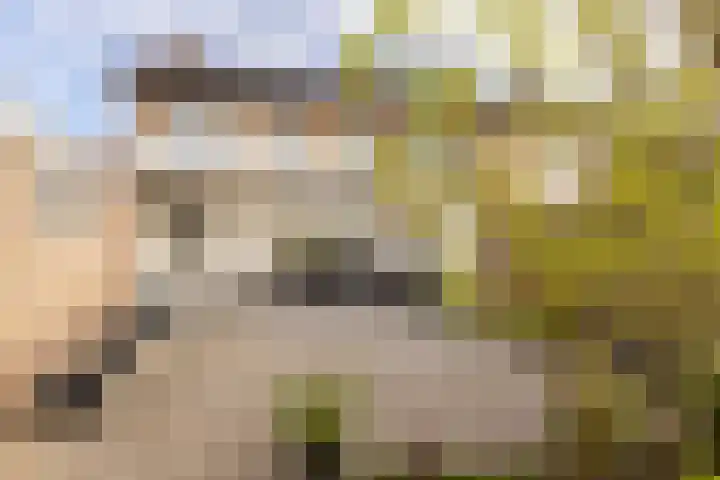 Kruisstraat 20 Schimmert thumbnail 36