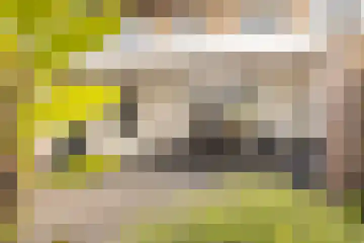 Kruisstraat 20 Schimmert thumbnail 37