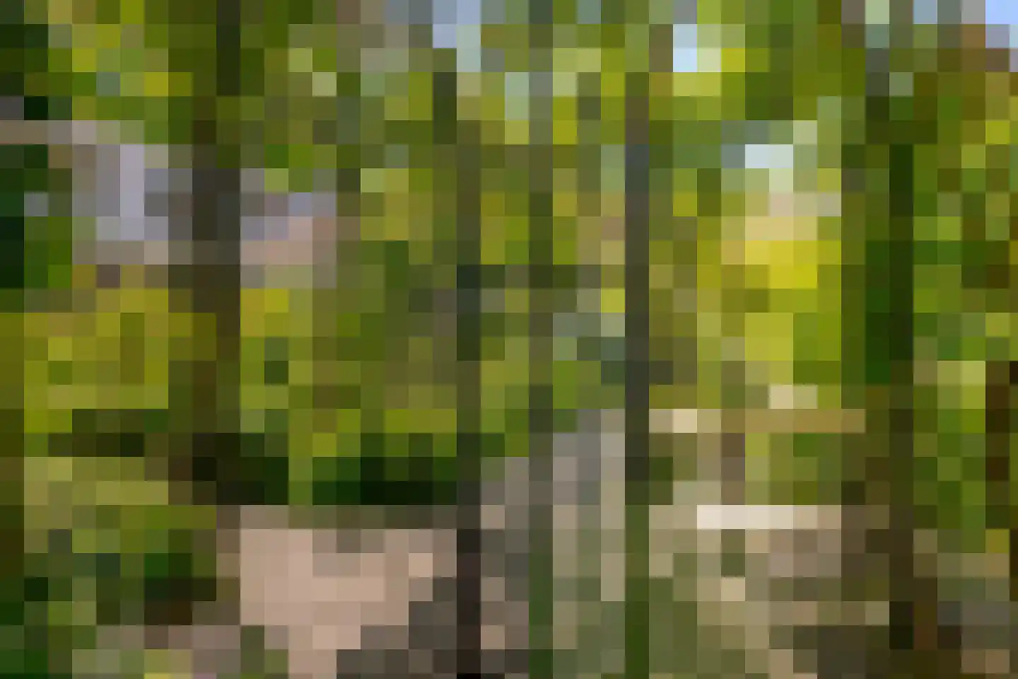 Kruisstraat 21 Hattem thumbnail 45