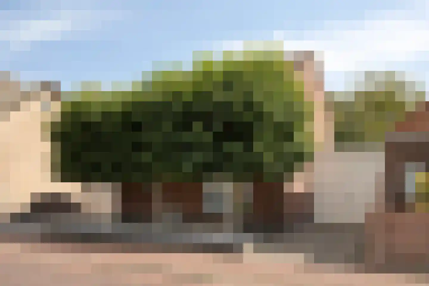 Kruisstraat 21 Reusel thumbnail 36