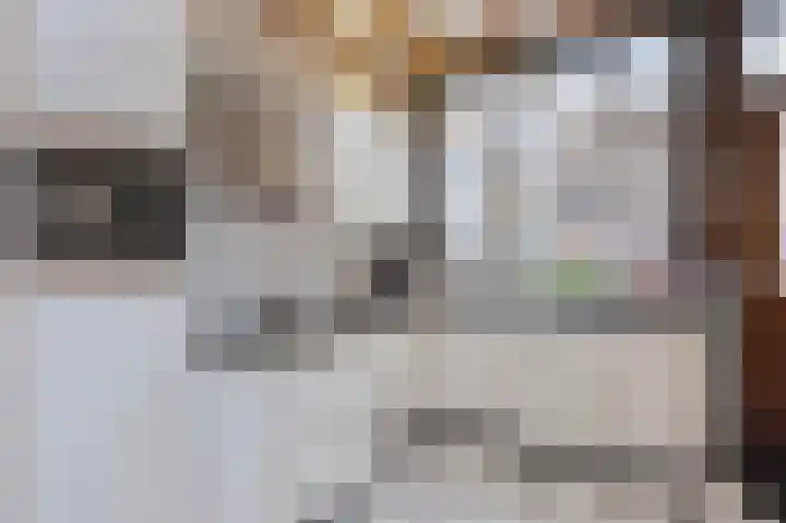 Kruisstraat 21 Stein thumbnail 12