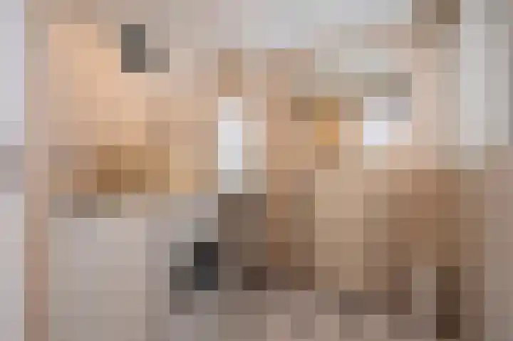 Kruisstraat 21 Stein thumbnail 16