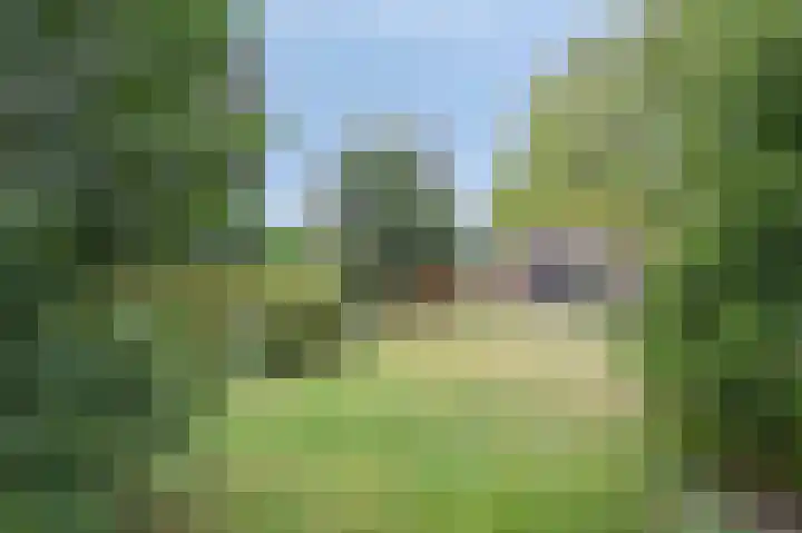 Kruisstraat 21 Stein thumbnail 37