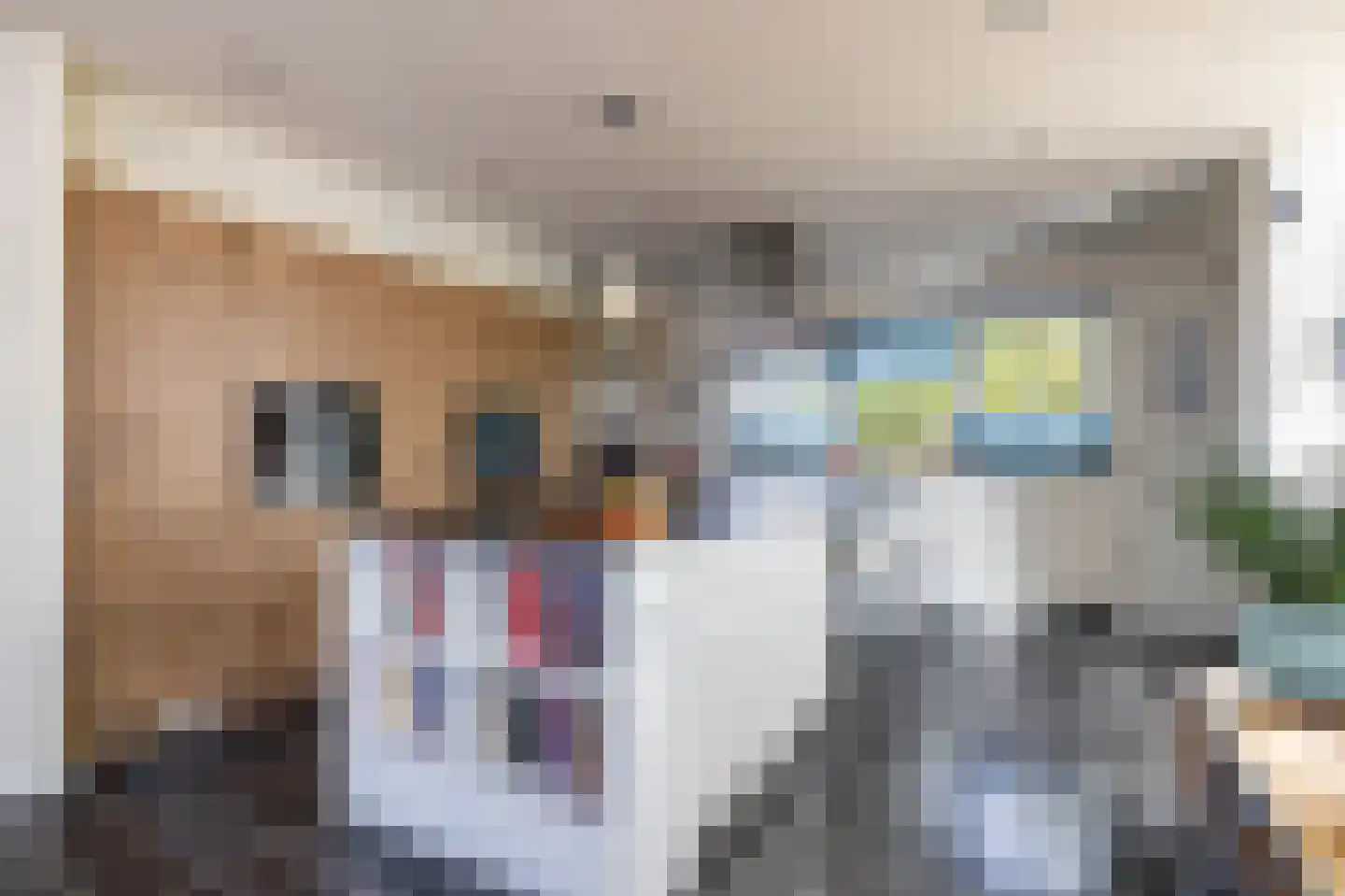 Kruisstraat 22 Baflo thumbnail 15