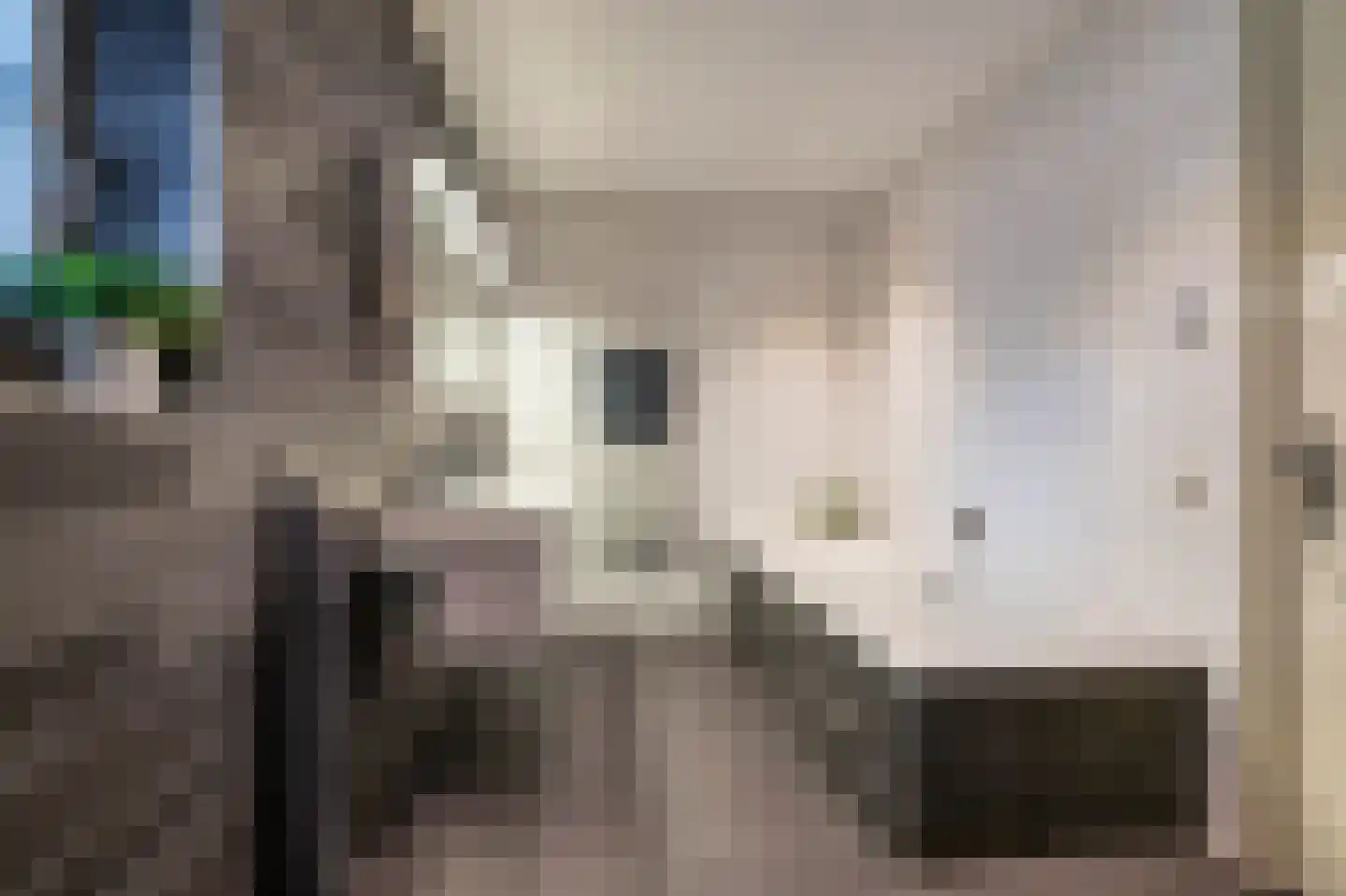 Kruisstraat 22 Baflo thumbnail 25