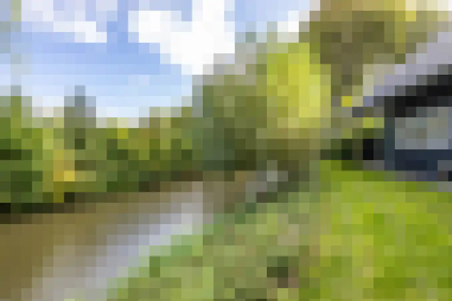 Kruisstraat 22 Baflo thumbnail 46