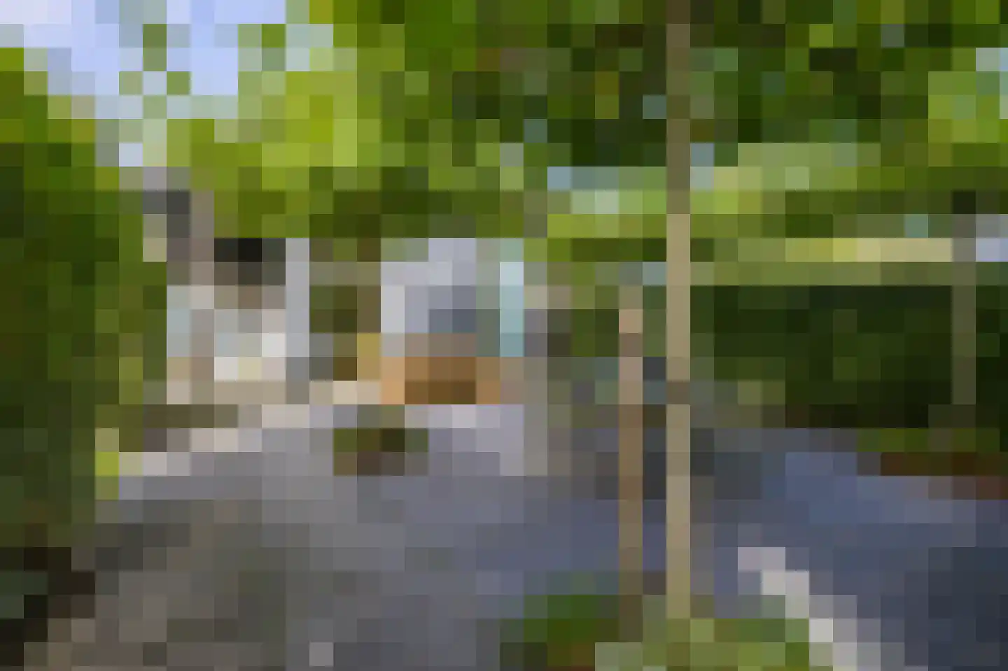Kruisstraat 22 Baflo thumbnail 51