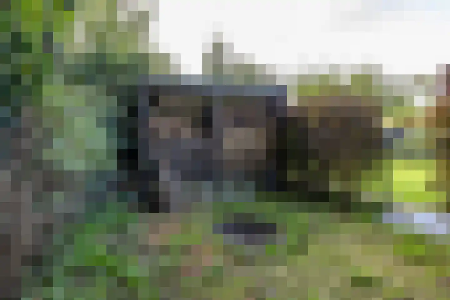 Kruisstraat 22 Baflo thumbnail 58