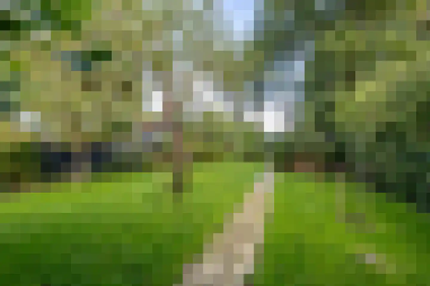 Kruisstraat 22 Baflo thumbnail 61