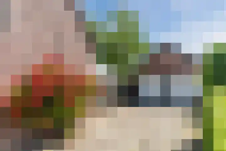Kruisstraat 22 Veldhoven thumbnail 49