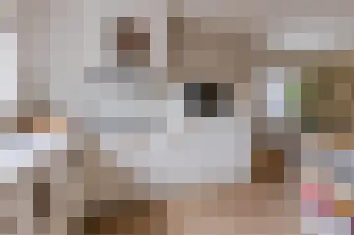 Kruisstraat 23 a Slootdorp thumbnail 23
