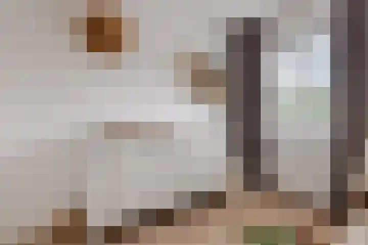 Kruisstraat 23 a Slootdorp thumbnail 34