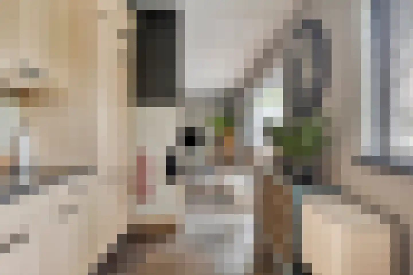 Kruisstraat 23 Gendt thumbnail 21