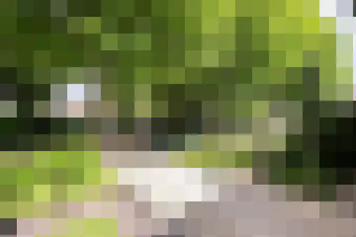 Kruisstraat 23 Rijswijk (NB) thumbnail 33