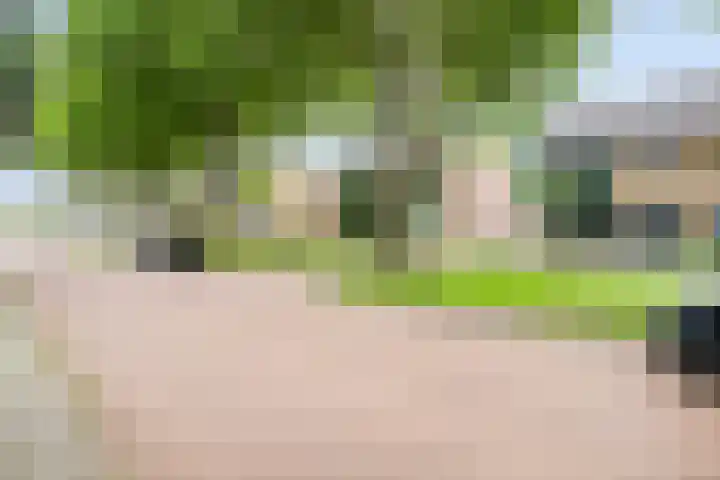 Kruisstraat 23 Rijswijk (NB) thumbnail 4