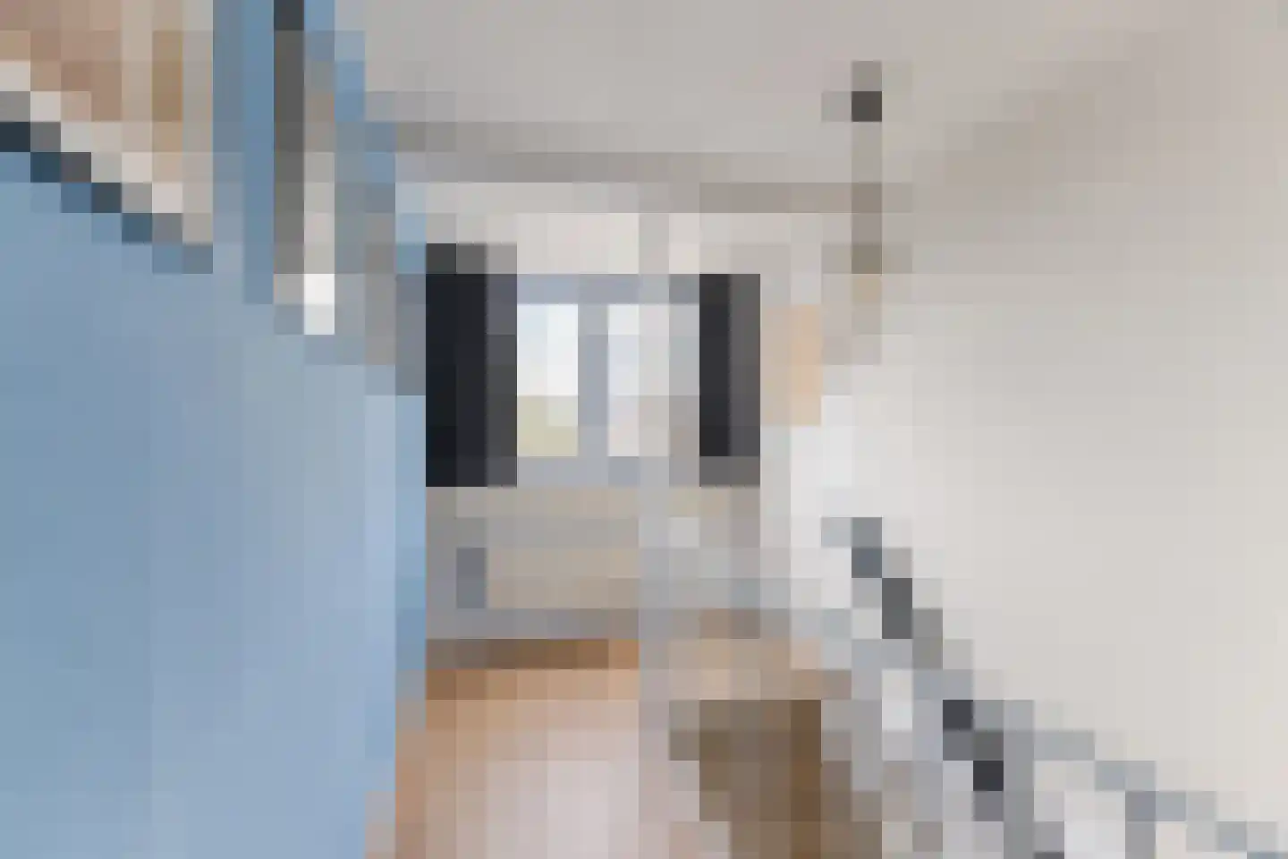 Kruisstraat 23 Tilburg thumbnail 26