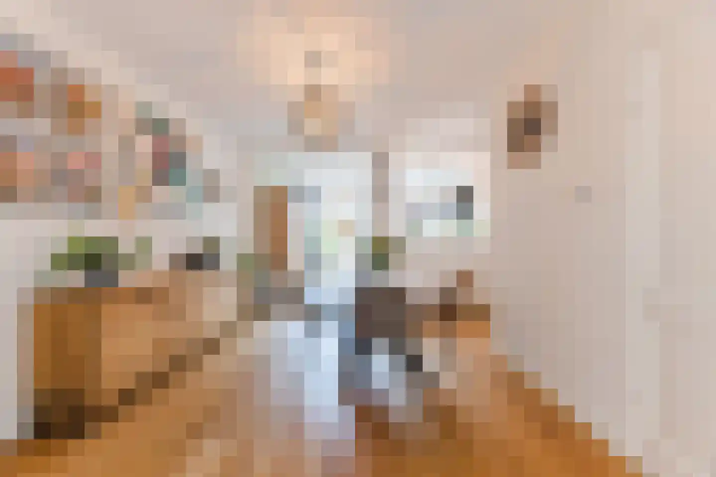 Kruisstraat 23 Tilburg thumbnail 5