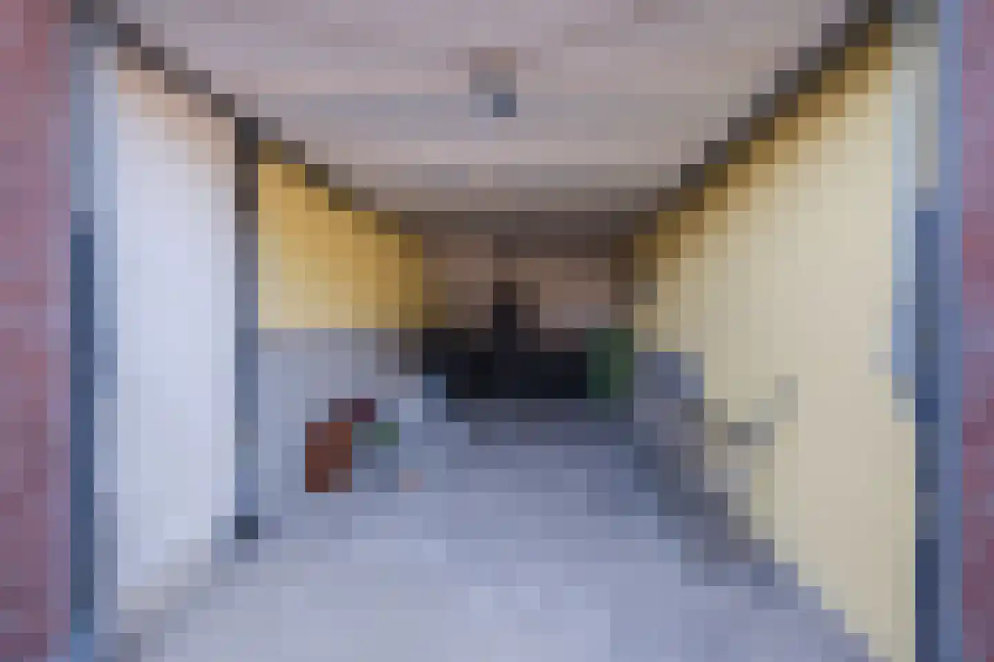 Kruisstraat 24 Reusel thumbnail 24