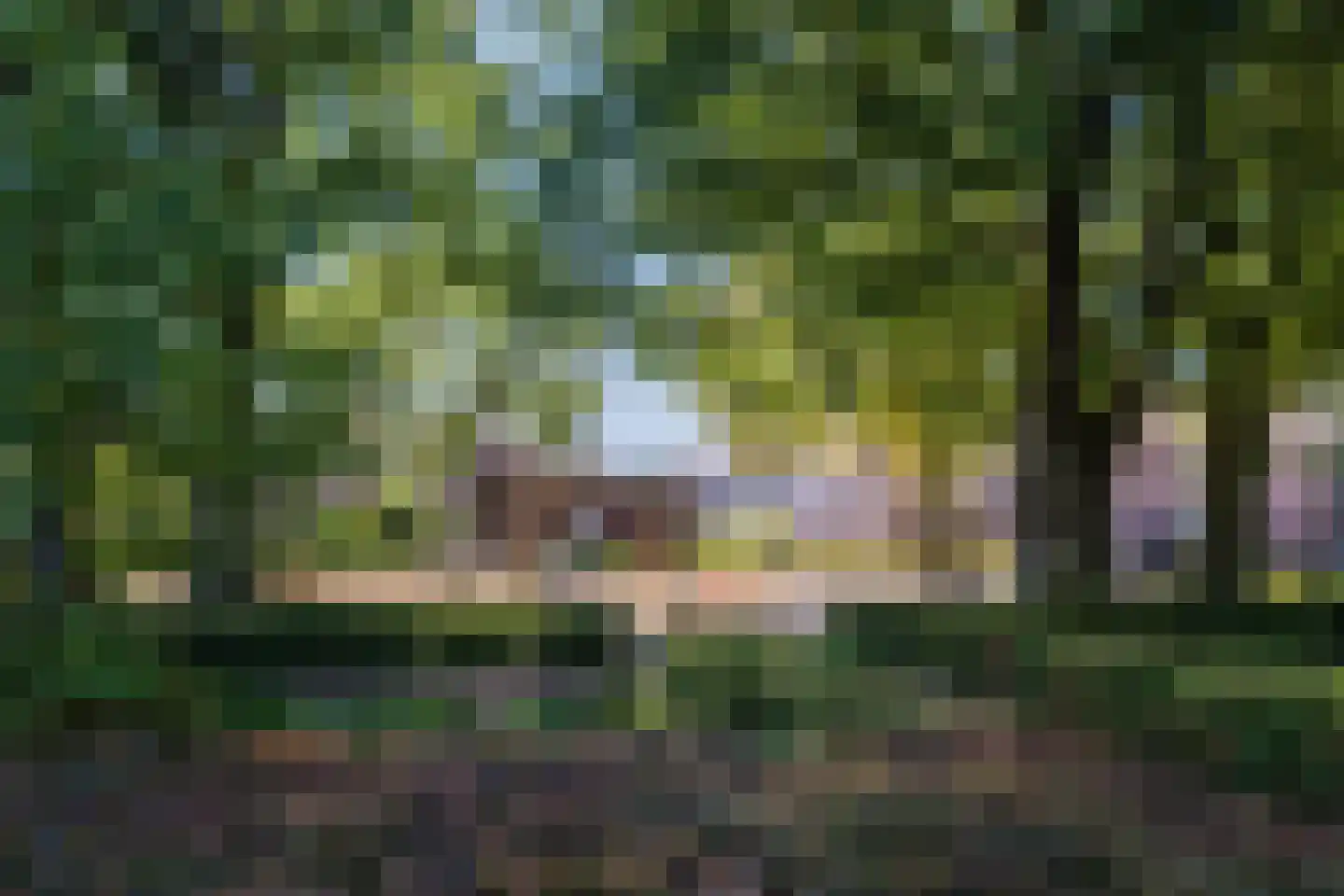 Kruisstraat 24 Reusel thumbnail 31